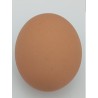 Huevos de Patos